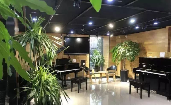 精彩回顾 | 优德88e-EU柳劲涛博士远程钢琴公开课圆满结束！